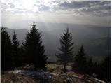 Jelševica - Črni vrh (Čemšeniška planina)
